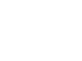 The Body Chiropractic